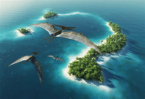 Pteranodon (Island) .
